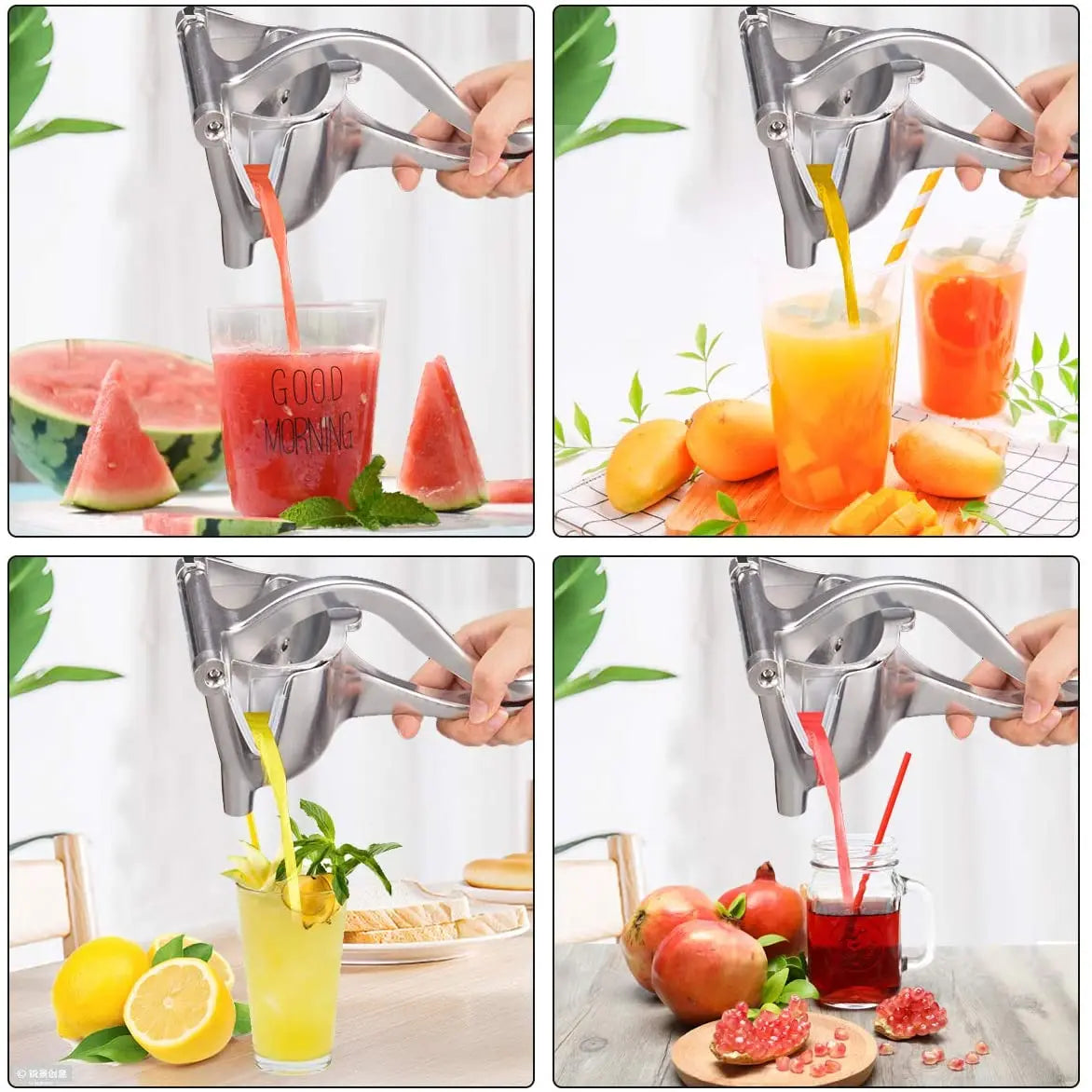 Hand Fruit Juicer Full Large Size
