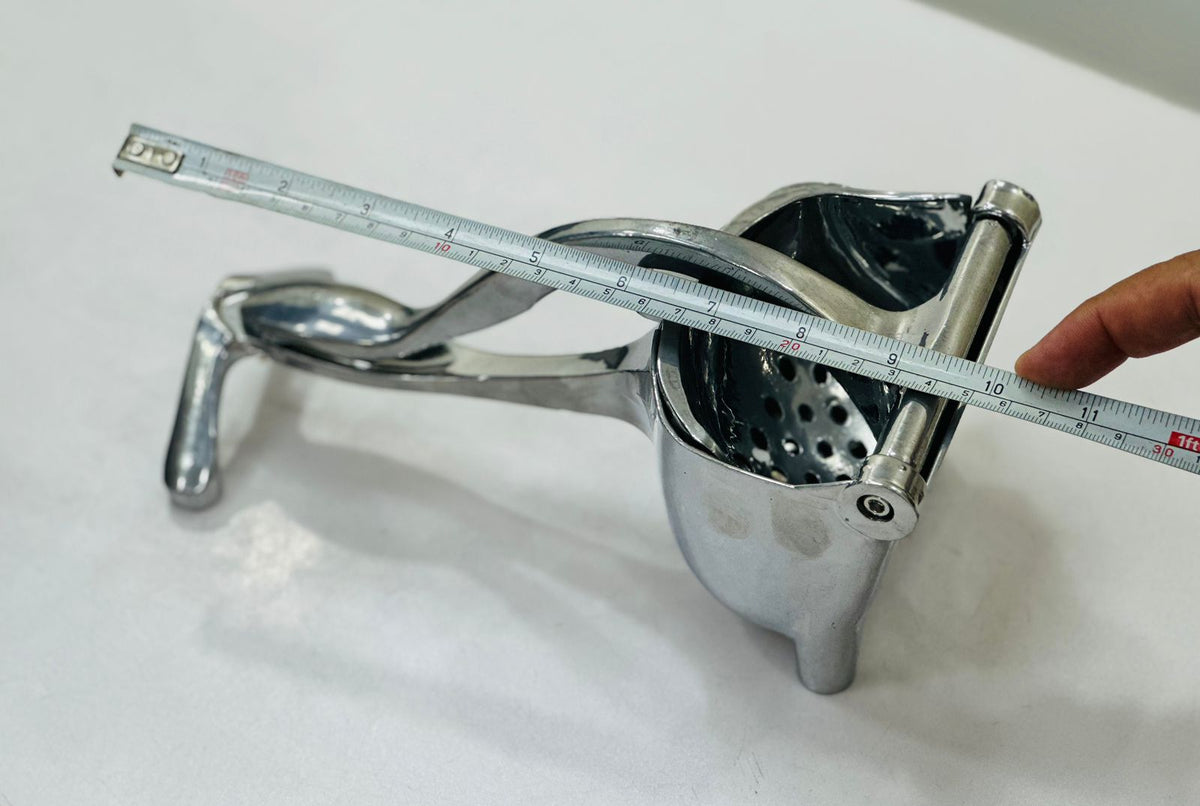 Stainless Steel Fruit Juicer